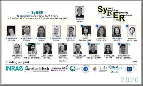 Trombinoscope_V2_Test8 Trombinoscope_V2_Test8