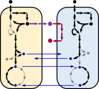 Consortia