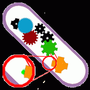 Team-3-Logo-Rec_medium_woName