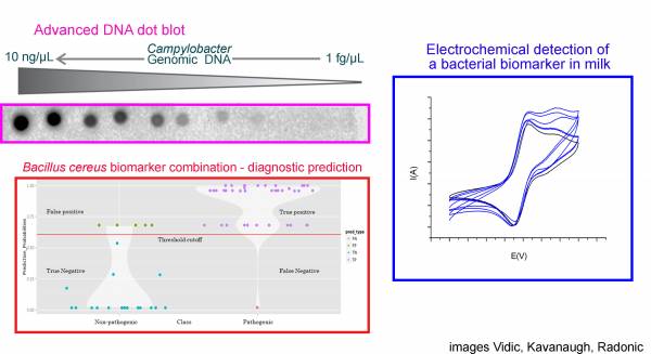 detections