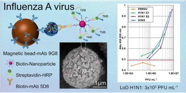Influenza