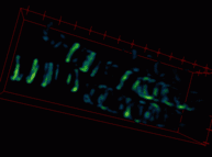 Science_3DSIM_Movie 2_160129