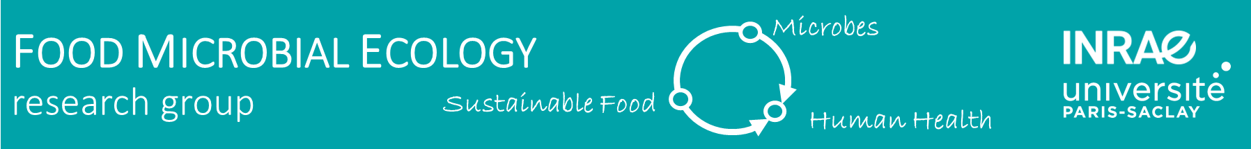 FME_Banner